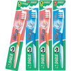 Joy Collection Darlie Toothbrush With Longshort Bristle Set 4 Pcs joy collection kopen in de aanbieding Joy Collection Darlie Toothbrush With Longshort Bristle Set 4 Pcs joy collection kopen in de aanbieding