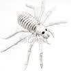 Halloween Skeleton Cat Dog Mouse Prop Animal Huesos Party Shop Decoración Horror