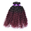 Sexy Lady 1B Burgundy Ombre Hair Extensions 4 Bundles Peruvian Virgin Kinky Curly Deep Wave Two Tone Red Wine Color sexy lady kopen in de aanbieding