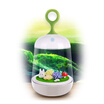 Joy Collection Tropical Forest Micro Landscape Colorful Lights Rabbit Creative Lamp Usb Night Light Led Bedside Student Portable Bedroom Birthday Gift Girl Gifts To Send His Girlfriend Wife joy collection kopen in de aanbieding Joy Collection Tropical Forest Micro Landscape Colorful Lights Rabbit Creative Lamp Usb Night Light Led Bedside Student Portable Bedroom Birthday Gift Girl Gifts To Send His Girlfriend Wife joy collection kopen in de aanbieding