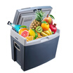 Joy Collection Mobicool T 35 Dc 35L Car Refrigerator Heatingcooling Box Thermostat Small Ceramic Blue joy collection kopen in de aanbieding Joy Collection Mobicool T 35 Dc 35L Car Refrigerator Heatingcooling Box Thermostat Small Ceramic Blue joy collection kopen in de aanbieding