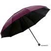 Paradise umbrella to strengthen the double-layer breathable impact black plastic 30 umbrella 7841E purple