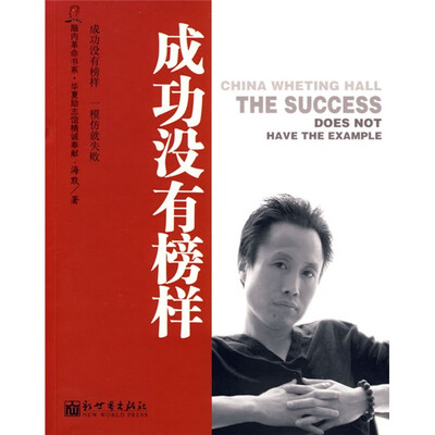 

成功没有榜样