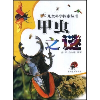 

甲虫之谜
