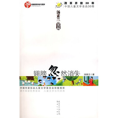 

改革开放30年中国儿童文学金品30部：翅膀忽然消失