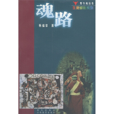 

野牛角丛书·生列绎影系列：魂路