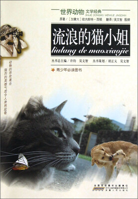 

世界动物文学经典：流浪的猫小姐