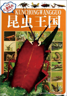 

小风车·儿童成长百科全书：昆虫王国（注音版）
