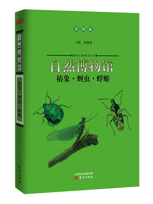 

自然博物馆：椿象·蚜虫·蜉蝣（彩图版）