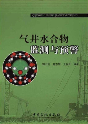 

气井水合物监测与预警