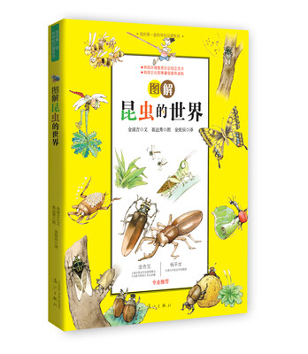 

图解昆虫的世界（我的第一堂科学知识课系列1）