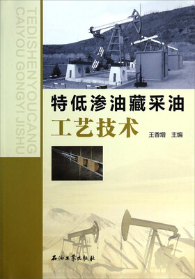 

特低渗油藏采油工艺技术