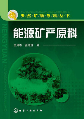

天然矿物原料丛书：能源矿产原料