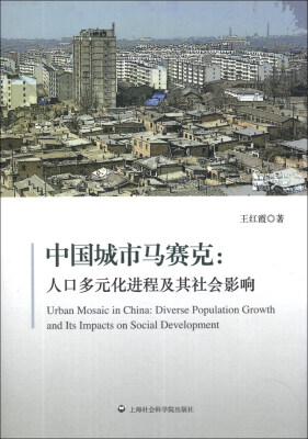 

中国城市马赛克：人口多元化进程及其社会影响