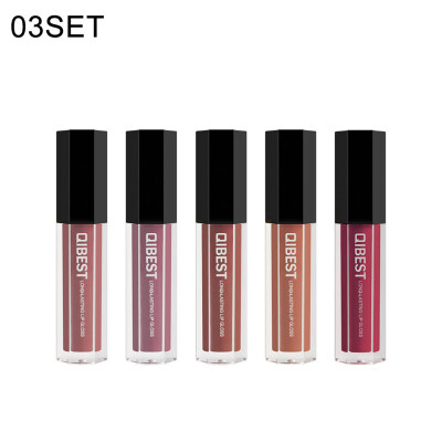 

5Pcs Long Lasting Non-sticky Lip Gloss Matte Velvet Liquid Lipsticks Makeup