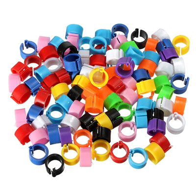 

Parrot Clip Rings Pigeons Mark Rings Bayonet Identification Opening Pigeon Ring Color Pigeon Foot Ring Pigeon Supplies