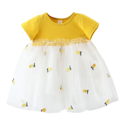 

Princess Baby Girl Dress Party Birthday Dress Lace Floral Baptism Vestido Infantil Bow Tulle Wedding Dresses Newborn New