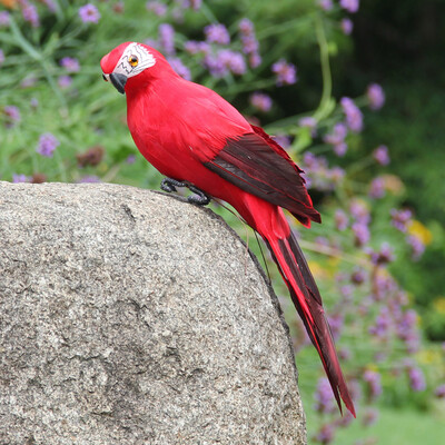 

Gobestart Colorful Fake Parrots Artificial Birds Model Outdoor Home Garden Lawn Tree Decor
