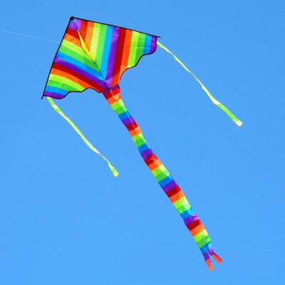 

YIWULANew Stunt Power Kite Outdoor Sport Fun Toys Novelty Dual Line Delta Kite