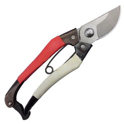 

Lightweight Orchard Pruner Flowers Trimmer Landscape Plant Cutter Garden Yard Flowers Shears Remover Lopper