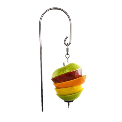 

Durable Birds Cage Accessories Stainless Steel Small Parrot Toy Meat Kabob Food Holder Stick Fruit Skewer Bird Treating Tool