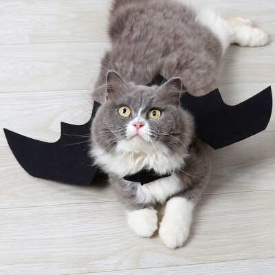 

Halloween Decoration Pet Dog Cat Black Bat Wings Cute Pets Dress Up Cosplay Wing Costume Party