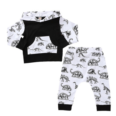 

Baby Clothes Autumn Long Sleeve Flower Print Hoodie Sweatshirt TopsPants Trouser Costume Set Baby Girls Boys Clothes Set
