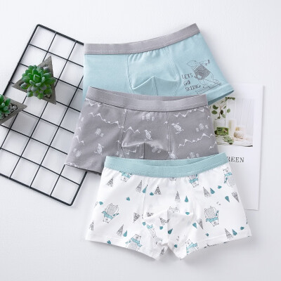 

3pcs 3-14T Baby Boy Underpants Casual Fashion Baby Boy Panties Children Cartoon Printing Underpants Kids Boxer