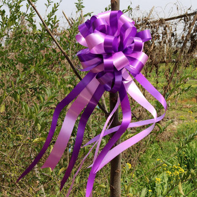 

Christmas Wedding Pull Flower Large Size Flower Decoration Pull Flower Hand Flower Party Wedding Decor 10 Pcs 2 Colors