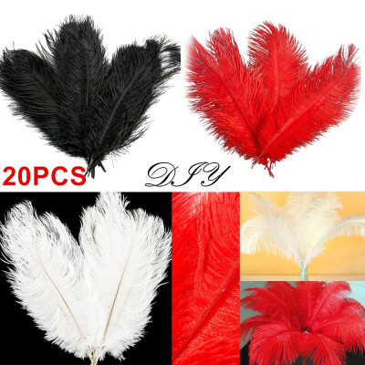 

1020pcs Fluffy Soft Ostrich Feathers for Wedding Party Craft Decorations 12-14 inch30-35cm