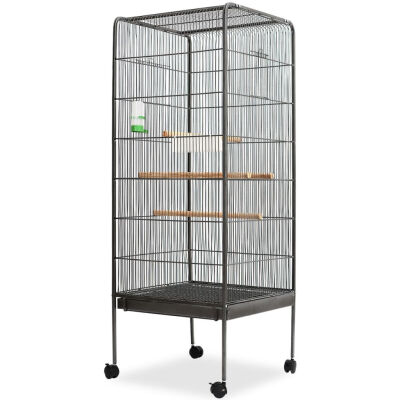 

Bird Cage Black 213"x213"x575" Steel