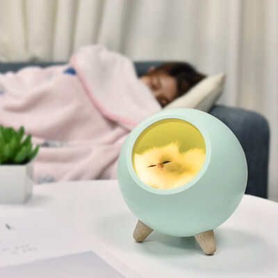 

〖Follure〗Cat Pet House Ambience Lamp USB Charging Cute Cartoon MINI LED Night Light