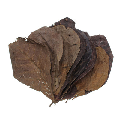 

50pcs Antibacterial Olive Kernel Leaves for Fish Tank Aquarium Landscape Decoration