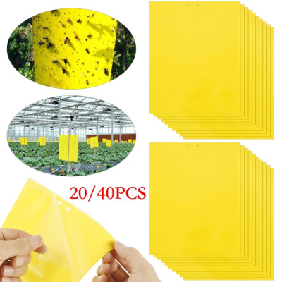 

2040 Pcs Strong Sticky Board Insects Pest Killer Fly Bugs Mosquito Killer