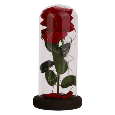 

LED Beauty Rose&Beast Battery Powered Red Flower String Light Desk Lamp Romantic Valentine\s Day Birthday Gift Decoration