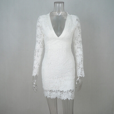 

PREISEI Spring Summer Women Sexy Elegant Slim Hollow Hollow Hook Flower Open Back V-Neck Empire Zipper Mini Lace Dress PR180506
