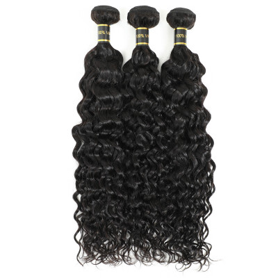 

Amazing Star Curly Wave Bundles Hair Virgin Human Hair Extensions Brazilian Hair Water Wave 3 Bundles Deal Natural Color