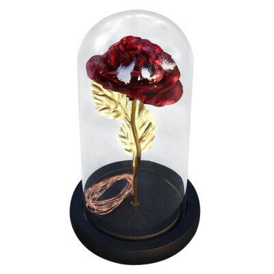 

Artificial Gold Foil Rose Flower&LED Light String In Glass Dome On Wooden Base The Best Gift For Women