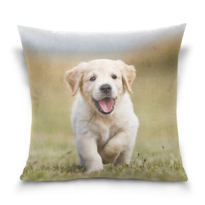 

ALAZA Throw Pillow Case Decorative Pillow Covers 16 X 16 inch Happy Golden Retriever Puppy Pattern Pillowcase