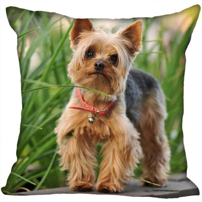 

Yorkshire Terrier Pillow Cover Bedroom Home Office Decorative Pillowcase Square Zipper Pillow Cases Satin Fabric No Fade