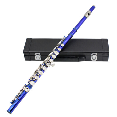 

Western Concert Flute Cupronickel Plated Silver 16 Holes C Key Woodwind Instrument with Cleaning Cloth Stick Gloves Mini Screwdriv
