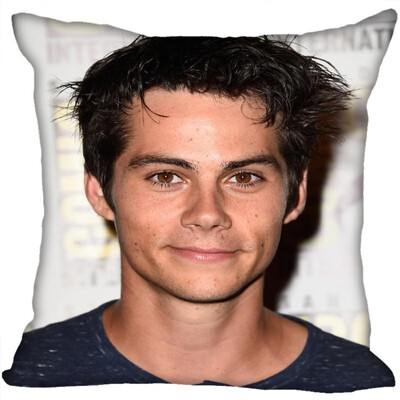 

Dylan Pillow Cover Bedroom Home Office Decorative Pillowcase Square Zipper Pillow Cases Satin Fabric No Fade