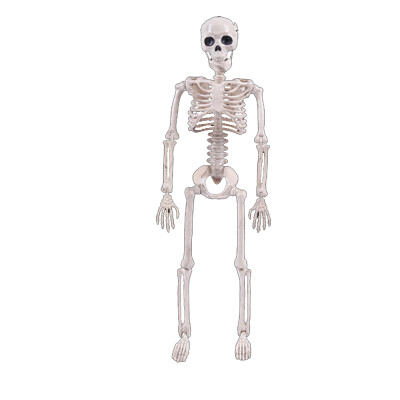 

Willstar 1PCS 131 ft Simulation Humans Skeleton Ornament Halloween Decorations