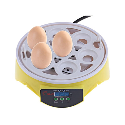 

Automatic Digital 7 Eggs Incubator for Duck Bird Chicken Egg