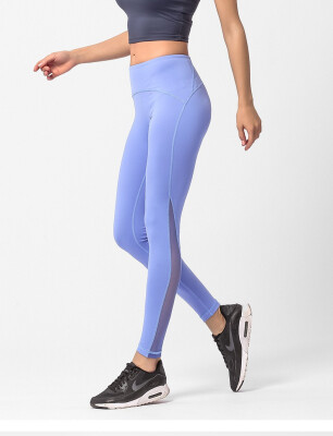 

High Waist Net Mesh Yoga Pants Tummy Control Workout Leggings