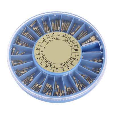 

120Pcs Set Dental Conical Screw Set Stainless Steel Posts Kit Dental Refill Files