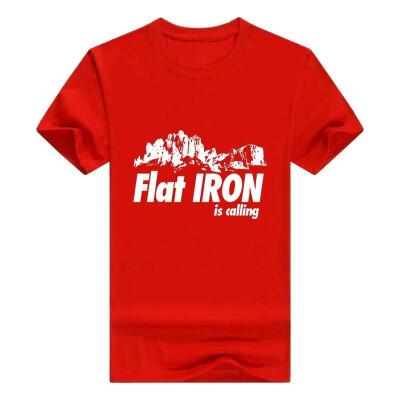 

Flat Iron is Calling Premium Shirt