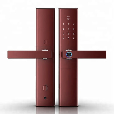 

Smart Digital Fingerprint Lock Sliding Wooden Door Lock