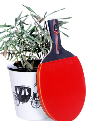

Lemuria Y35 carbon fiber table tennis racket double face pimples-in table tennis rubber ping pong racket