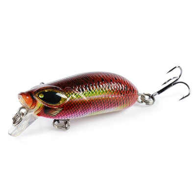 

Crankbait Fishing Artificial Crank Bait Hard Fishing Lure Bait